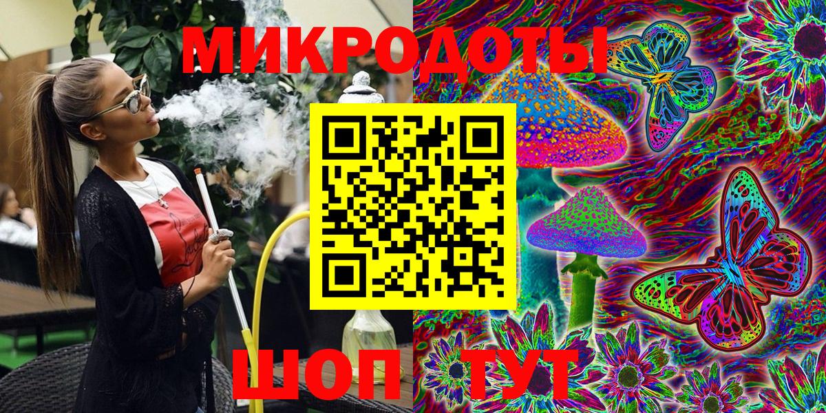 Галлюциногенные грибы Psilocybine cubensis Звенигород